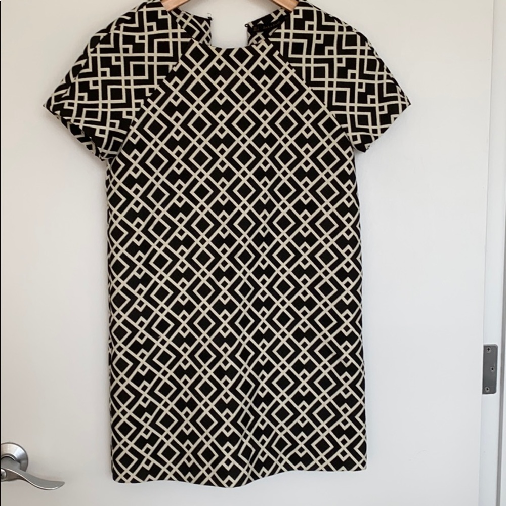 ZARA Shirt Dress